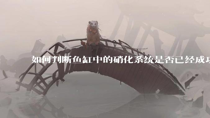 如何判断鱼缸中的硝化系统是否已经成功建立？
